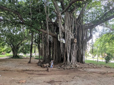Photos of Parque Miramar