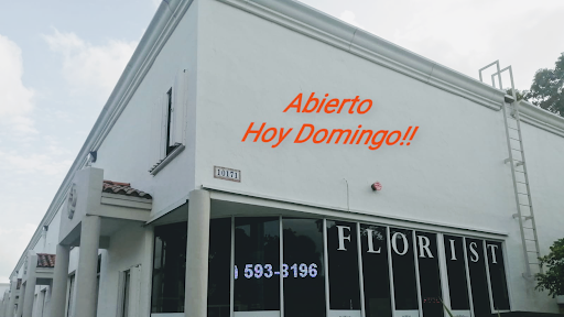 Doral Roses Miami