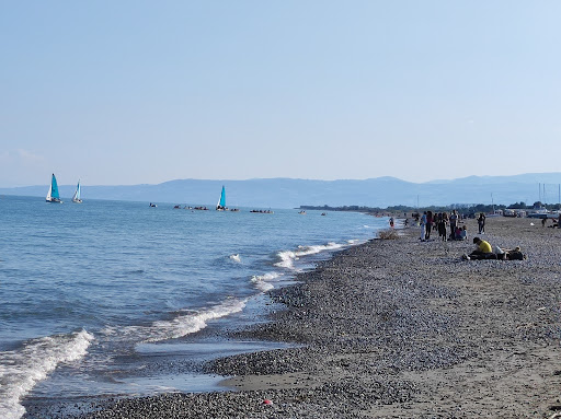 Lido Torre Mozza Logo