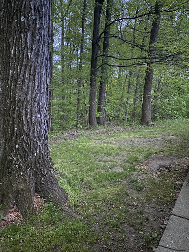 Skeeter's Holler - Thumbnail