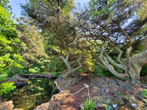 Deep Cut Gardens - Thumbnail