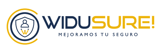WIDUSURE - Visual