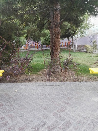 Photos of Shahid Avini Park