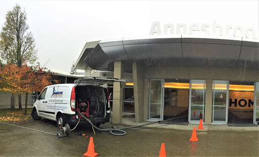 Intensive Carpet Clean Tasman - Thumbnail