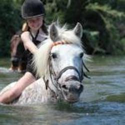 Photo n°12 de Rando et Chariot à Palau-del-Vidre (Centre de randonnée équestre)