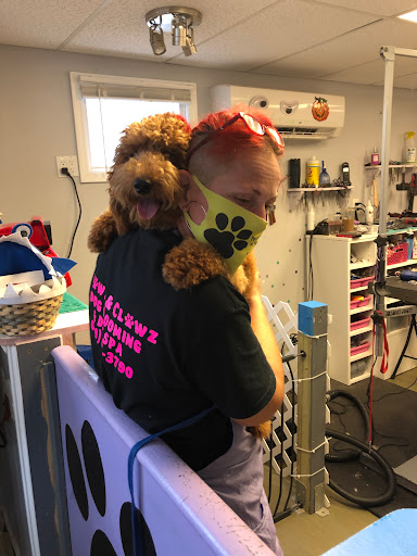 Pawz & Clawz Grooming Gallery - United States