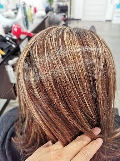 Matteosalon - Visual