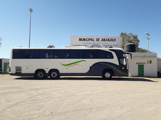 Estadio Abasolo - Thumbnail