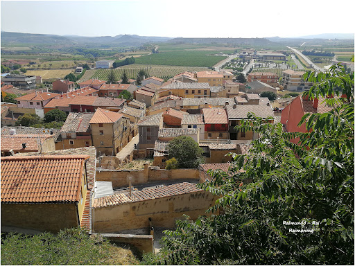 Briones - Visual