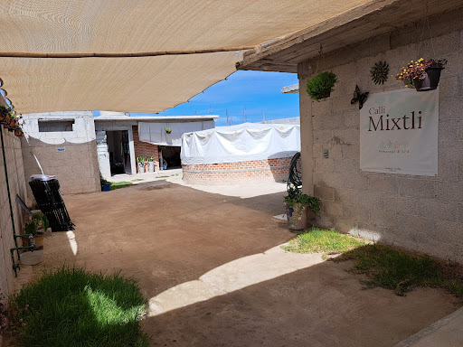 Calli Mixtli Temazcal y SPA
