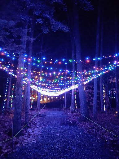 Nyte Walk - Thumbnail