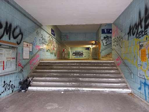 Seddin - Visual