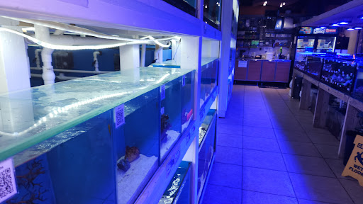 Upscale Aquatics - Visual