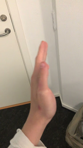 Fuglebjergvej 10A, 3400 Hillerød