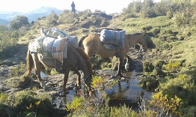 Photos of Cerro de Arcos