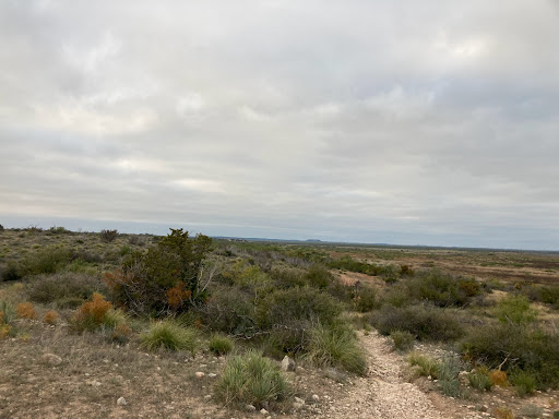 Isabel Harte Campground - Thumbnail