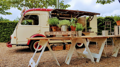 Coco Dining - Visual