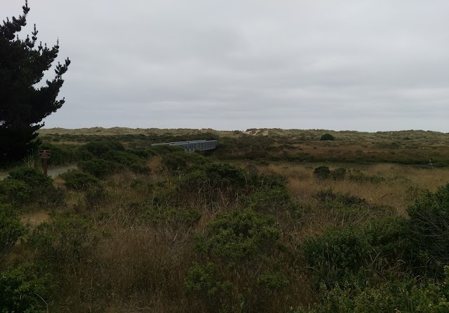 Limantour Beach