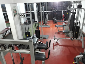 PANDA GYM 1