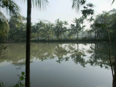 Photos of North Chadrishira Masjid
