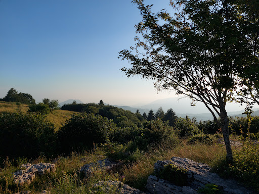 Malga Dardo - Thumbnail