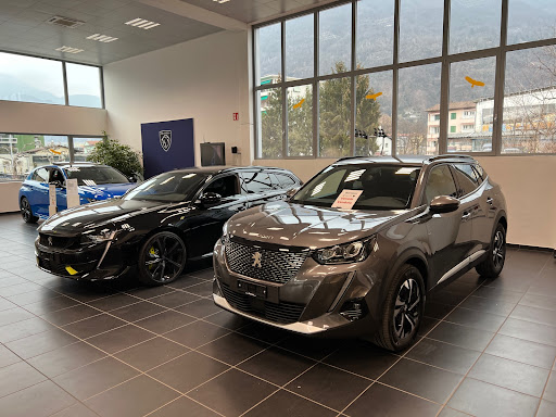 Bertoni Automobili SA / Renault-Nissan-Jeep-Peugeot - Thumbnail