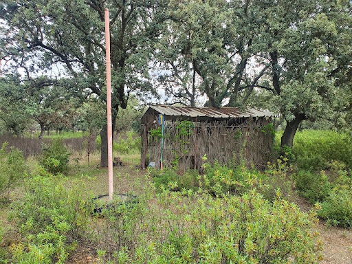 Refugio de madera - Thumbnail