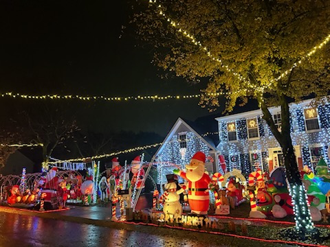 Mamulaville Christmas Light Display