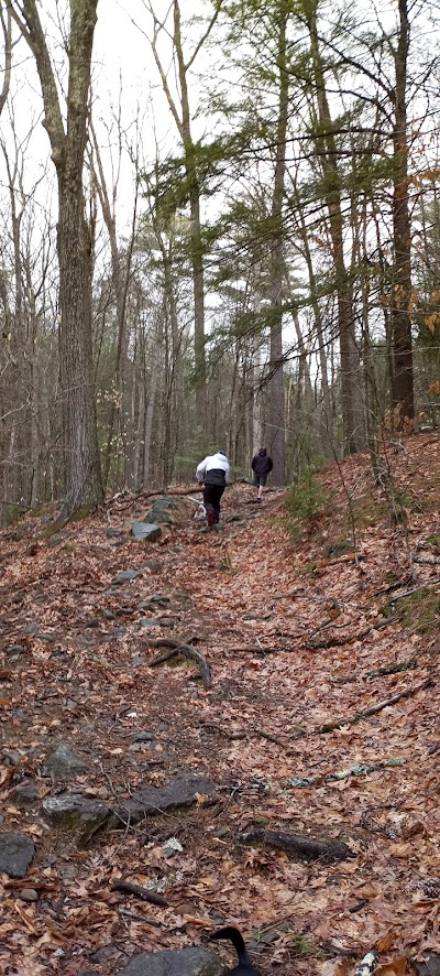 Bears Den Natural Area