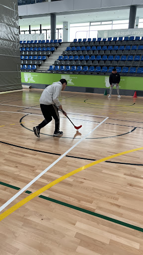 Centro de Estudios Profesionales CVE