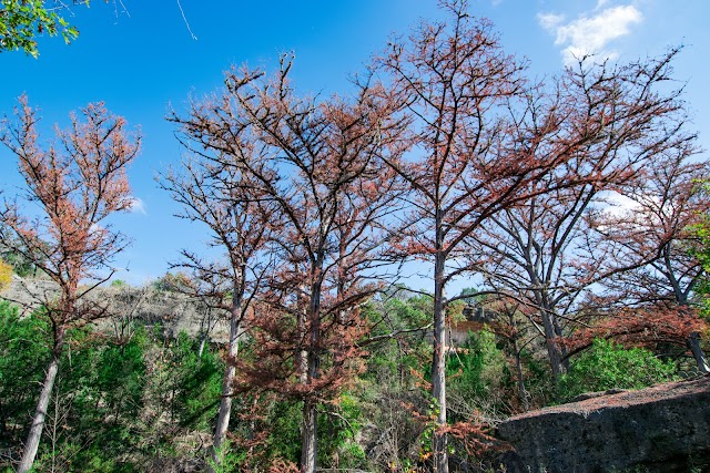 Hamilton Pool