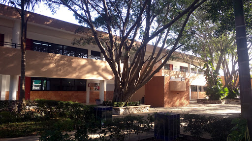 Centro Educativo Piaget A.C. - Thumbnail