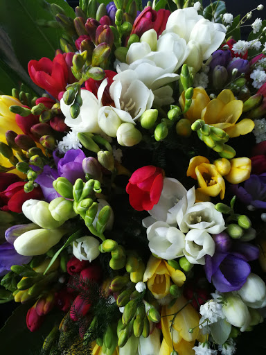 I Fiori di Mister Lello - Thumbnail