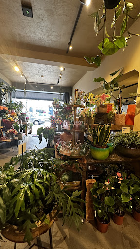 B&B Bloemen Haarlem - Thumbnail