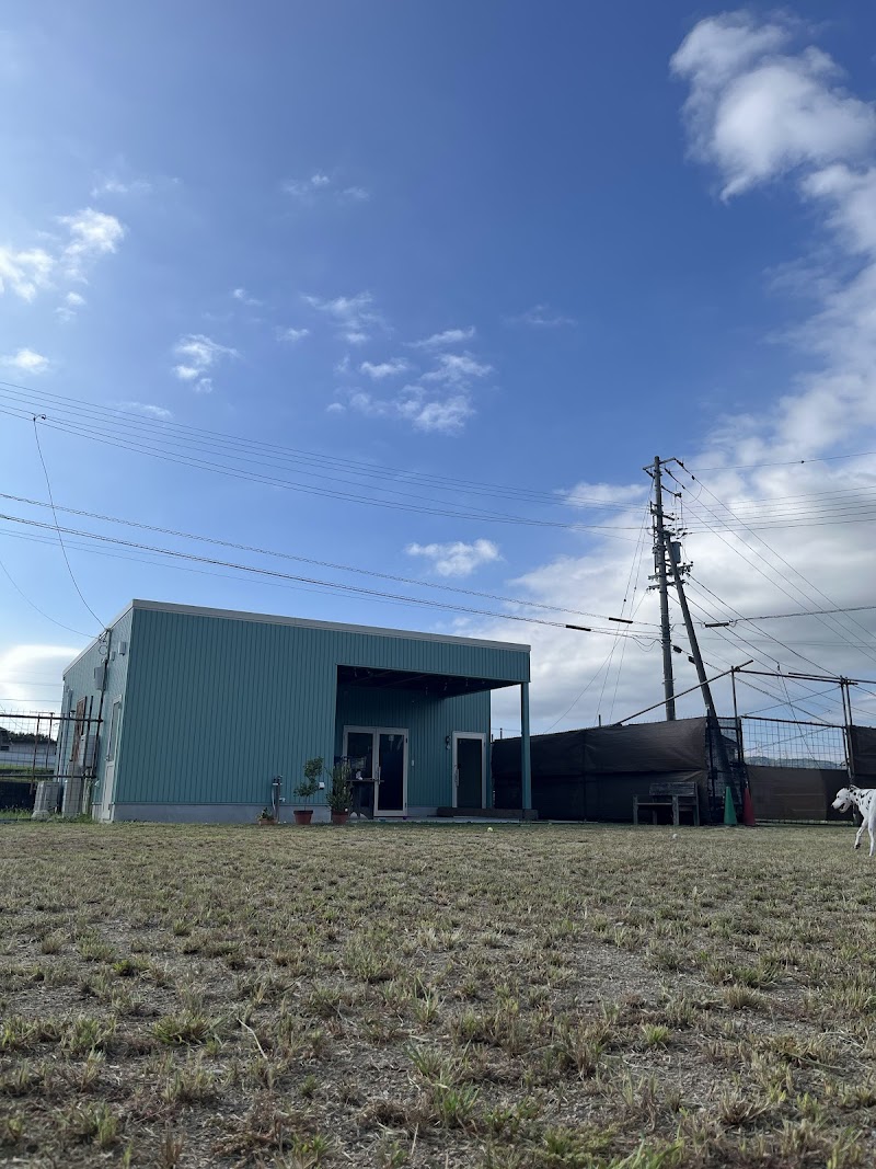 dog base polako (ポラーコ)