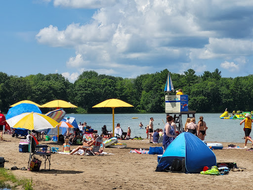 Moose Beach - Visual