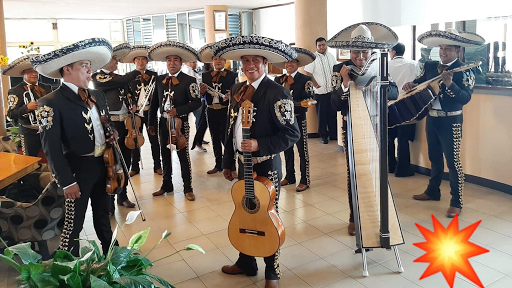 Mariachi Sonidos de México Oficial