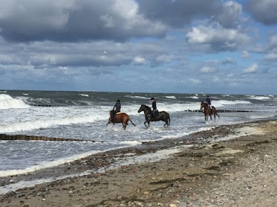 Photos of Tourist - Info Baltic municipality Rethwisch