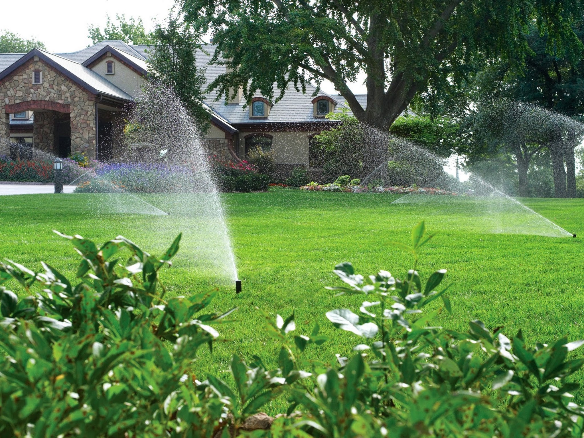 Sprinkler Solutions Irrigation