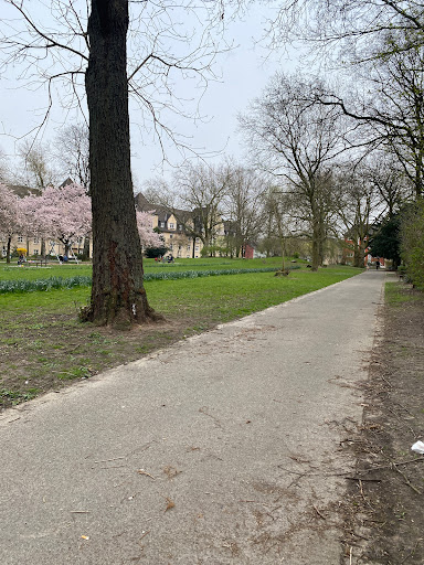 Universität Duisburg-Essen Lehrstuhl für Medizinmanagement - Thumbnail