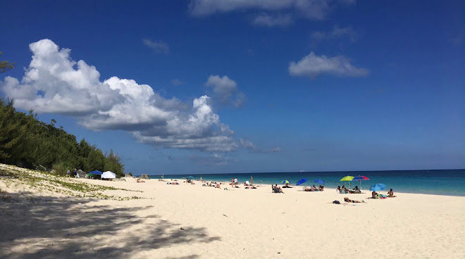 Elbow Beach by null