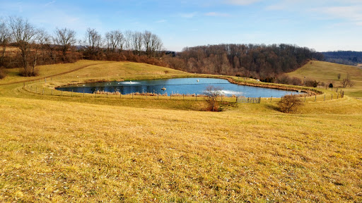 Okehocking Preserve - Thumbnail
