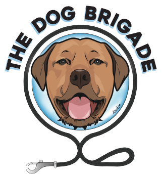 The Dog Brigade, 6/19 Blair Street North Bondi, Sydney NSW 2026