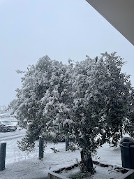 Photo n°15 de Bricomarché Douvaine à Douvaine (Magasin de peinture)