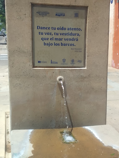 Poema/Fuente Raúl Navarrete - Thumbnail