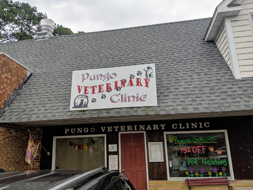Pungo Veterinary Clinic - Thumbnail