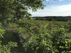 Photo n°3 de Le Verger de Pirouette à Saint-Pardoux-Soutiers (Magasin bio)