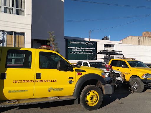Comision Nacional Forestal