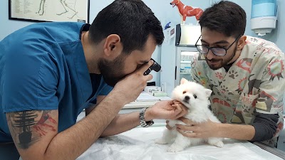 Photos of VETART VETERINARY CLINIC