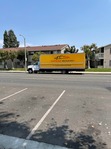 Superb Movers - Visual